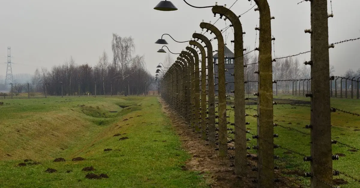Why Your Electric Fence Installation Is Illegal Without a Certificate of Compliance (And How to Fix It)