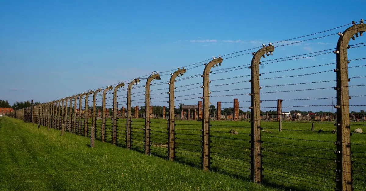 From Sparks to Pulses: Bridging the Knowledge Gap for Electricians Entering the Security Fence Market